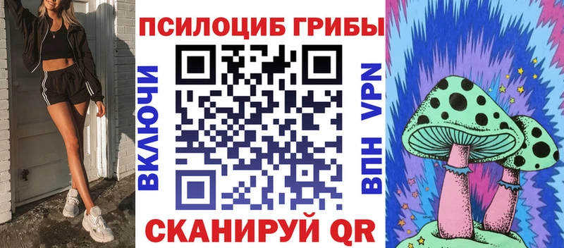 мега как войти  Звенигово  Галлюциногенные грибы Cubensis 