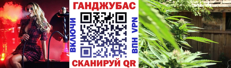 Конопля Amnesia  что такое наркотик  shop Telegram  Звенигово 